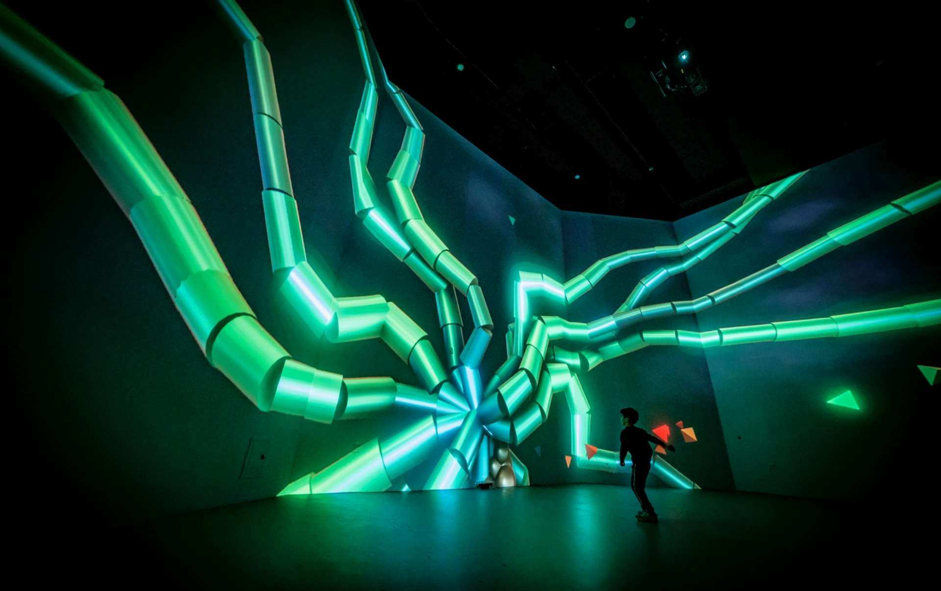 New Nature by Marpi at ARTECHOUSE DC credit Daniel Garcia