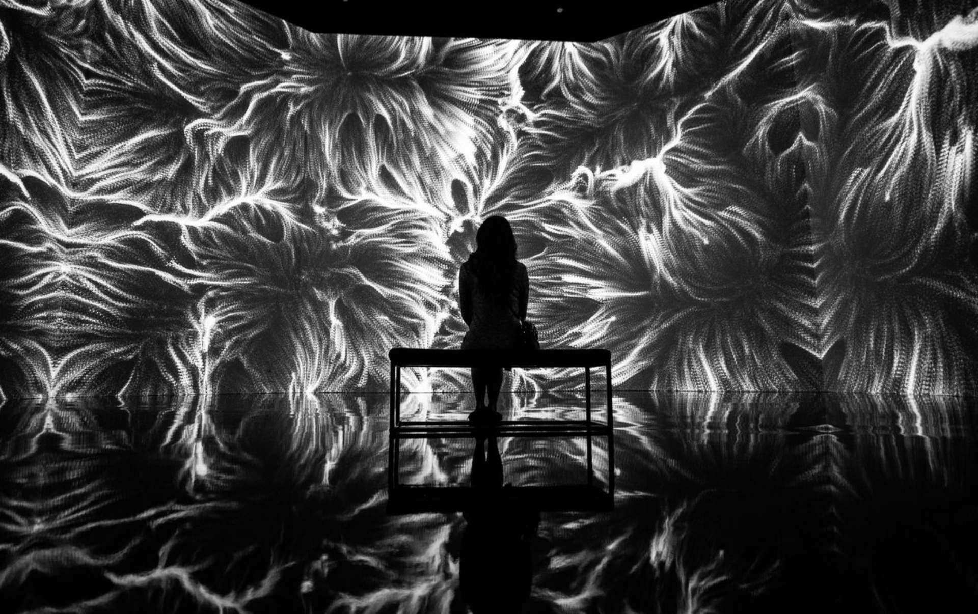 Everything In Existence by fuse* at ARTECHOUSE DC